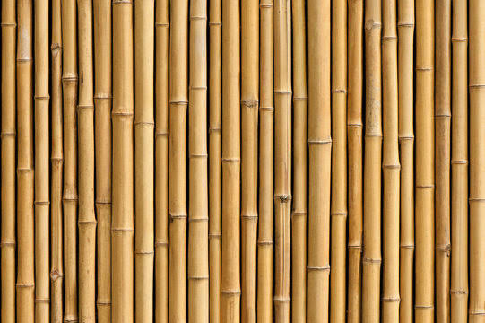 The Benefits of Bamboo Cloth Nappies: A Sustainable Choice for Modern Parents