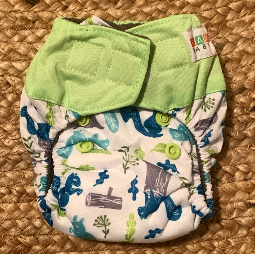 Bamboo Microfibre Newborn Cloth Nappy - Squirrels